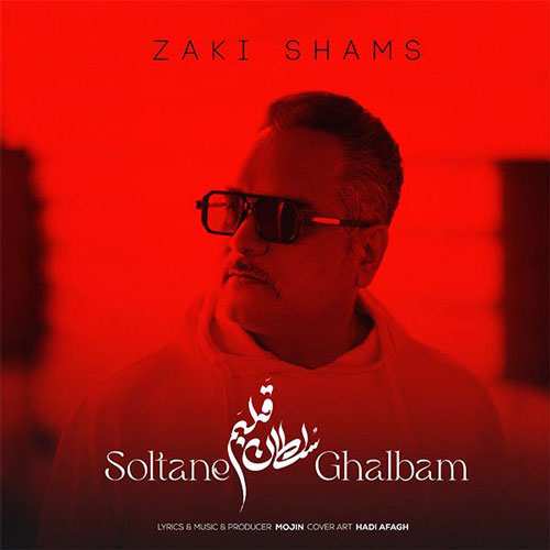 محمدرضا منصوری - بی ادعا