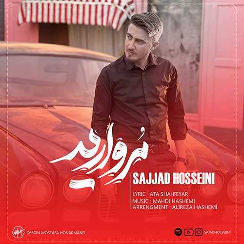 مصطفی یگانه - میره دلم