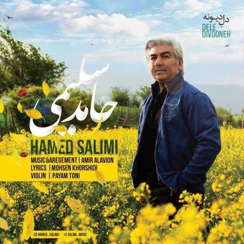 محسن مجیدی - دل ندارم - نسخه  2