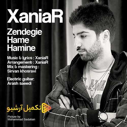 رضا ملک زاده - دیوونه بازی