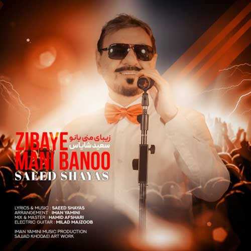 مصطفی عابدینی - اگر نمانی