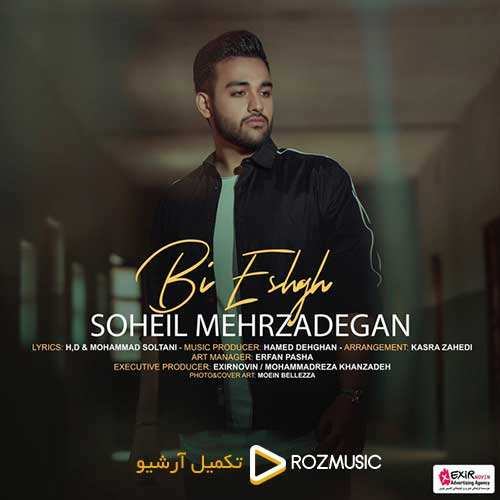 سهیل مهرزادگان - بی عشق