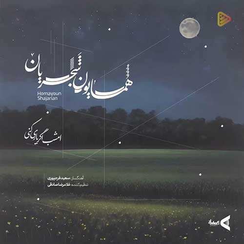 علی زند وکیلی - مرغ شب