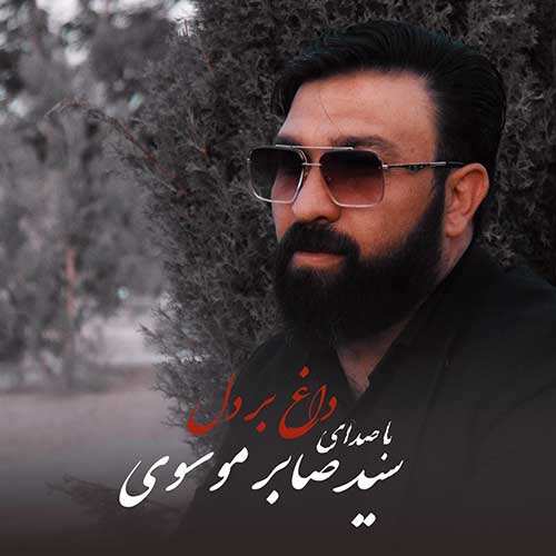 ناصر زینعلی - الماس