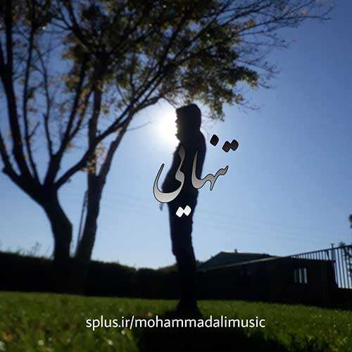 سالار عقیلی - ققنوس
