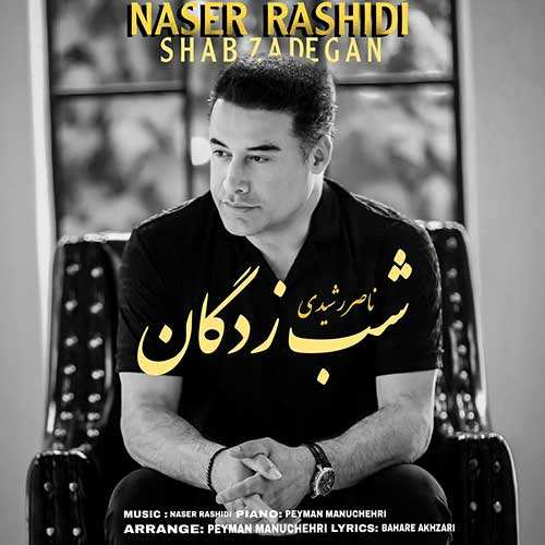 بابک بهادری - زیبای دلخواه