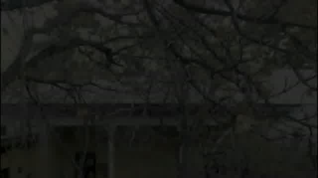 سعید شهروز به نام آره عاشقتم