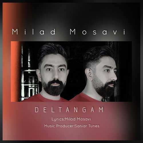 علیرضا قربانی - پل - نسخه  2