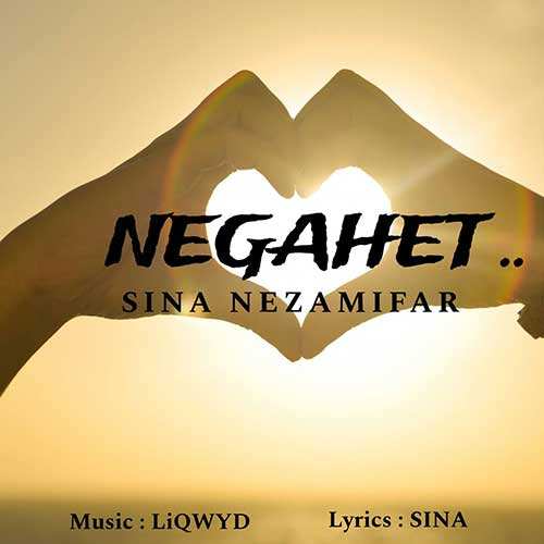 رضا ملک زاده - نازک تر از گل
