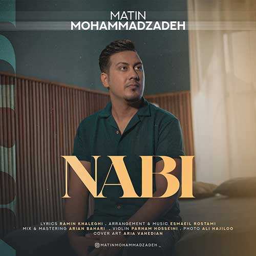 بابک جهانبخش - هنرمند