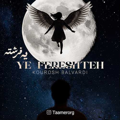محسن صفوی - بیرگون - نسخه  2