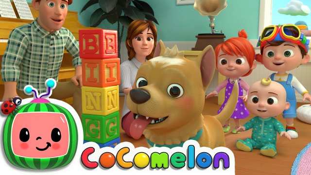 bingo the dog | اهنگ بینگو سگه