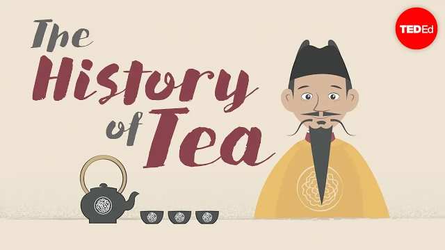 تاریخچه چای - شونان تنگ