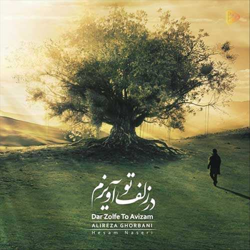 مسعود روح نیکان - دیوونه وار