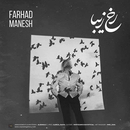 شاهرخ ذوقی - ضربان