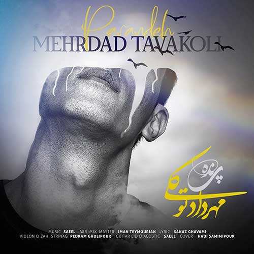 محسن یگانه - دنبالش میرم