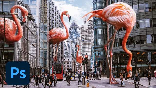 Everyone Can Go Big | Adobe Photoshop