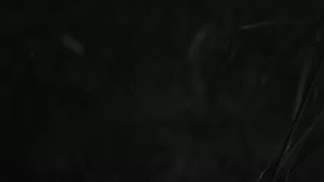 حامیم به نام سیاه سفید