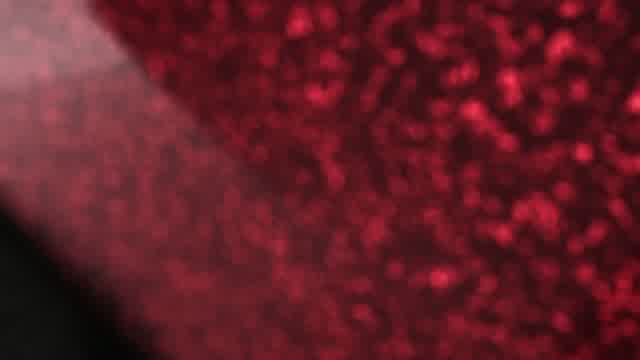 زانیار خسروی و سیروان خسروی به نام بدون تو