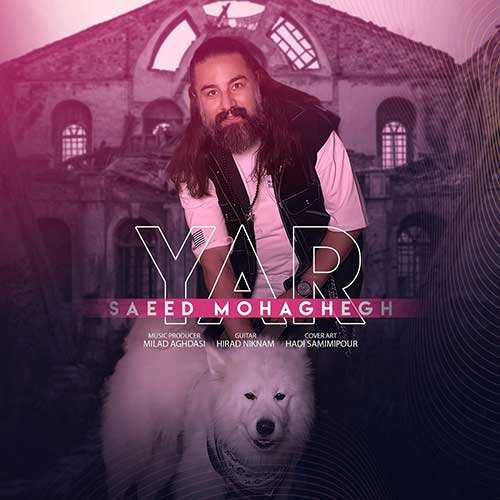 سینا سرلک - دوباره