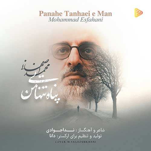ریمیکس سالار - شاه نشین (دیجی پانی)