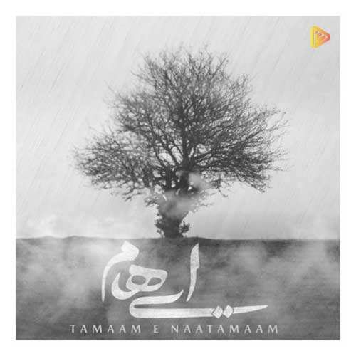 وحید اصلانی - خط خاموش
