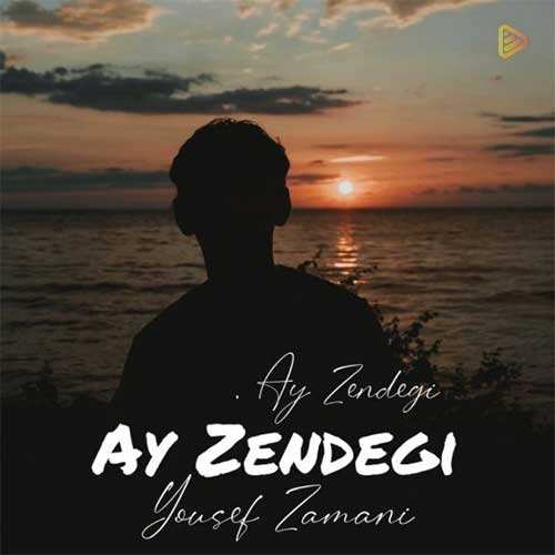 فرزاد فرزین - شراب
