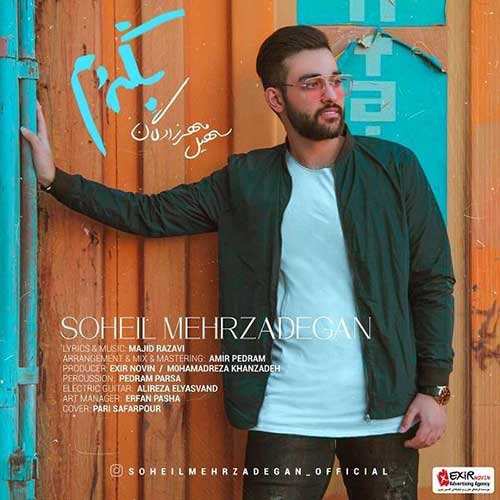 سهیل مهرزادگان - بگردم
