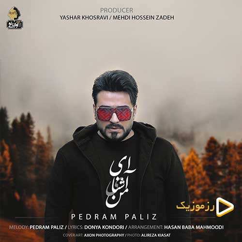 پدرام پالیز - ای آشنای من
