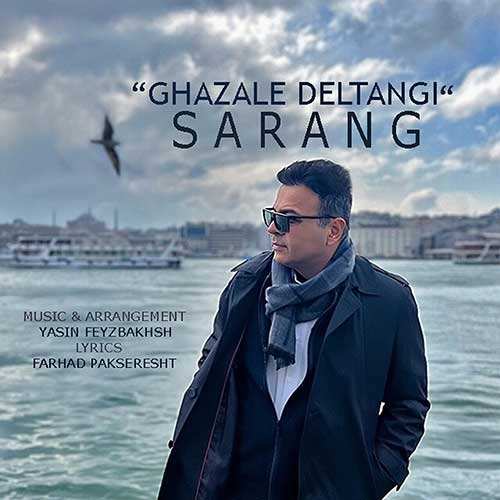 فرزاد فرزین - شانزلیزه