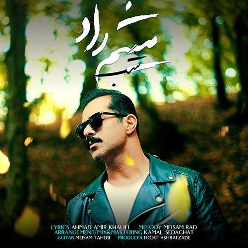 میثم ولی زاده - شروع عشق