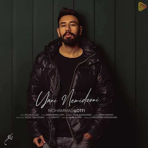 سهیل مهرزادگان - طرفدار - نسخه  2