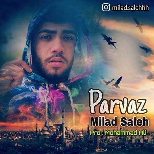 علی اصحابی - فانوس