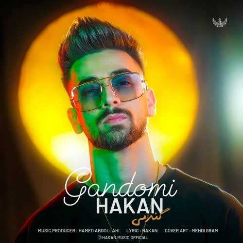 وحید امیرانی - سرت سلامت - نسخه  2