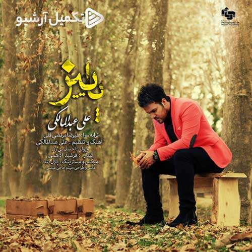 مرصاد محمدی - جیگر گوشه